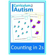 Counting in 2s Autism
